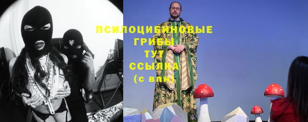 a pvp Алзамай