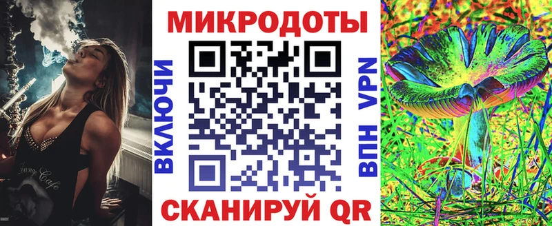 Псилоцибиновые грибы Psilocybe  Красноярск 