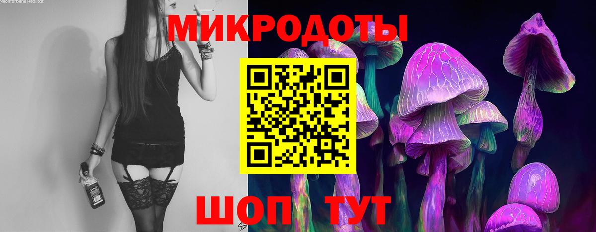Псилоцибиновые грибы мицелий Красноярск