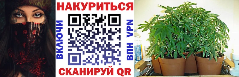 наркошоп  Красноярск  Конопля индика 